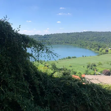 Peace In The Greenery